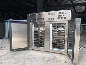 壓縮機(jī)速凍柜-80度-10層托盤